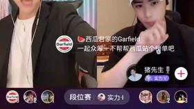 抖音热门大瓜 明星小说,明星小说背后的真实故事